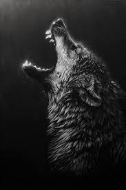 If there is no picture in this collection. Black Wolf Wallpapers 1 3 1 Download Android Apk Aptoide