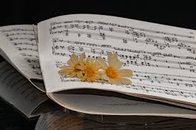 Find the free sheet music you want online with ease. Sheet Music 19th Century Cello Free Photo On Pixabay