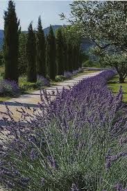 Maddyandsummer Landscape Design Beautiful Gardens Driveway Landscaping
