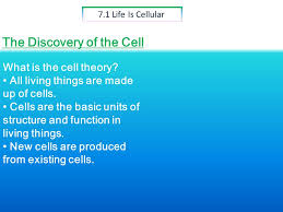 • 7.1 life is cellular • 7.2 cell structure • 7.3 cell transport • 7.4 homeostasis and cells 0001_bio10_se_ch07_co.indd 189 6/9/09 1:34:01 pm chapter 7 big ideas: Chapter 7 Cell Structure The Discovery Of The Cell 7 1 Life Is Cellular What Is The Cell Theory All Living Things Are Made Up Of Cells Cells Are The Ppt Download