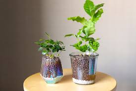 観葉 植物 便利 グッズ