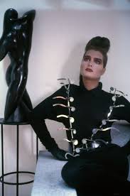 Brooke shields in a 1985 public service announcement for new jersey tourism. Brooke Shields 1985 Edition Of 15 Photo By Sheila Metzner 2016 Calder Foundation New York Photo Sheila Metzner 2016