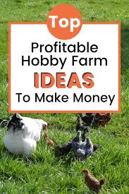 Profitable Hobby Farm Ideas Hobby Farms Farm Hobby
