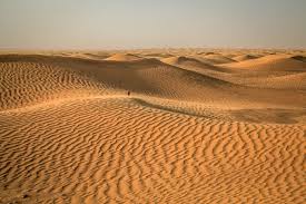 Sahara, largest desert in the world. Sahara Desert Covered In 15 Inches Of Snow Video Novinite Com Sofia News Agency