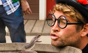 Jackass 4.5 (Video 2022)