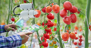 We've all heard that the future menu may involve less meat and dairy. Let S Learn About The Future Of Food Science News For Students