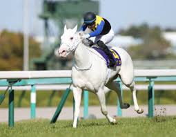 May 17, 2021 · 白毛馬ソダシ 札幌記念に参戦 「ソダシ」のいとこ 新馬戦勝利 「完成度高い」ソダシのいとこ; Jraã‚ªãƒ¼ã‚¯ã‚¹ ã‚°ãƒ©ãƒ³ã‚¢ãƒ¬ã‚°ãƒªã‚¢åœ§å‹ã§è¦‹ãˆãŸç™½æ¯›ã‚½ãƒ€ã‚·ã®æ„å¤–ãªå¼±ç‚¹ ä¸€æ³¡å¹ã‹ã›ãŸã„17é ­ã®é™£å–¶ã‹ã‚‰è²·ã†ã¹ãç©´ã®é€†è»¢å€™è£œ3é ­ Gj