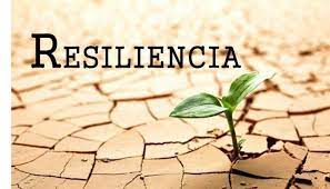 F 1 tecnol resistència que presenten els sòlids al trencament per xoc. La Resiliencia Una Habilidad Que Nos De La Felicidad By Ezequiel Melo Bustos Medium