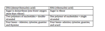 Asked 2 years, 2 months ago. Topic 2 6 Structure Of Dna And Rna Amazing World Of Science With Mr Green