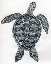 The onscreen pen that you use for drawing is called the turtle and this is what gives the library its name. How To Draw A Turtle