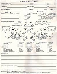 Equine Dental Chart Capps Manufacturing