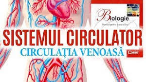 Sangele din aceasta circulatie transporta doar nutrienti sau vitamine catre organe. Circulatia Colaterala In Hipertensiunea Portala Wasatchpremiermovers Com