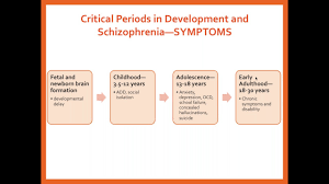 Social cognition and schizophrenia / edited by corrigan p. What Is Schizophrenia An Overview Of Schizophrenia Signs Symptoms And Treatments Brain Behavior Research Foundation