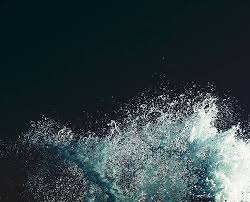 Image result for Ocean Mist 1972 Hussmann