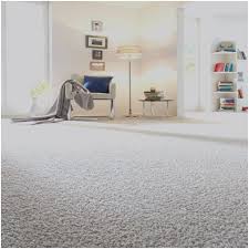 120 x 170 cm hund blau online bei poco kaufen, teppich ambiente ca. Pin Di Teppich