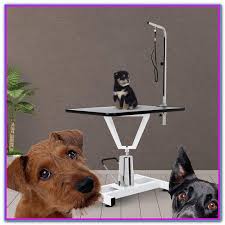 Dog Grooming Table For Sale Australia We Have A Comprehensive Range Of Dog Dryers Grooming Tables And Grooming Acc Dog Grooming Dog Dryer Dog Grooming Shop
