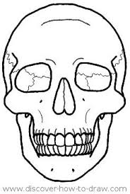 How To Draw A Skull In Front View Skulls Drawing Simple Skull Drawing Skeleton Drawings