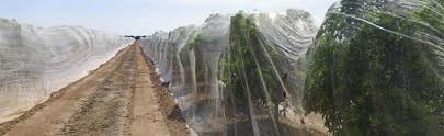 Carefully curated range of the best uk fruit plants. Fruit Tree Netting Smart Net Systems Industrial Netting Systems