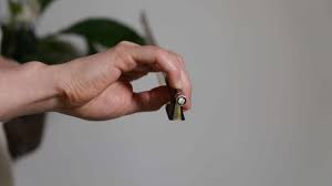 Check spelling or type a new query. How To Hold A Violin Bow The 6 Steps To A Perfect Bow Hold Violinspiration