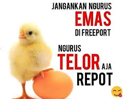 We did not find results for: Dian Sastra ×'×˜×•×•×™×˜×¨ Meme Lucu Telur Ayam Yang Semakin Naik Dan Mahal Https T Co Rjxatfzkzz