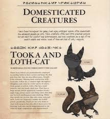 Star Wars Rebels Star Wars Alien Archive 2019 Star Wars Species Star Wars Rebels Ezra Star Wars Infographic