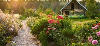 Even if the couple has no children yet, it seems that the relationship will get along pretty well with no chances of a divorce. Der Kleine Biogarten Meine 10 Ideen Fur Mehr Vielfalt Willkommen In Franks Kleinem Garten