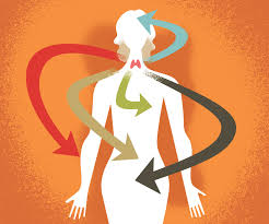 I had mine removed in 2009 due to a goiter and several nodules. The Subtle Signs Of A Thyroid Disorder The New York Times