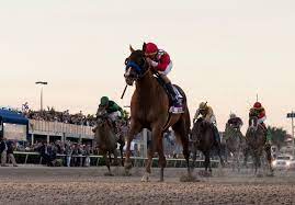 Indiana grand race course free picks. Parx Picks