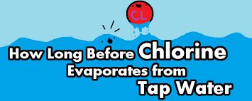 We did not find results for: How Long Does It Take For Free Chlorine To Evaporate From Tap Water Entirely Aquanswers
