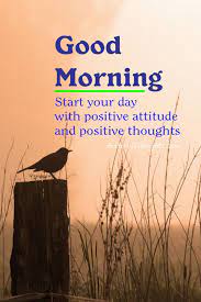  Top 120 Good Morning Quotes And Images To Bring Sunshine In Life Good Morning Quotes Good Morning Wishes Quotes Good Morning Friends Quotes