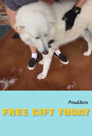 Patent Pet Shedding Grooming Glove Video Pet Shed Really Cute Puppies Dog Toys