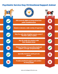 Support pets makes it easy to qualify for an esa using our online system, saving you the time and hassle of other esa options. The Difference Between A Psychiatric Service Dog And An Emotional Support Animal Service Dog Certifications
