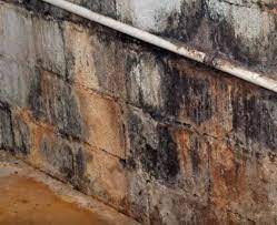 Mold inspection & testing services all of virginia beach offering unbiased mold testing to those concerned about indoor air quality; Hero Mold Removal Va Beach Home Facebook
