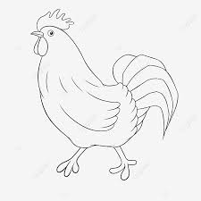Ayam bangkok putih juga memiliki beberapa kombinasi warna terutama pada bagian rawis.jika ayam bangkok dengan dasar warna putih,serta pada bagian kelebihan ayam bangkok warna putih juga terdapat di pukulan saja,kuat,tajam dan terarah,jika tepat mengenai bagian kepala ayam lawan,tidak. Gambar Ayam Clipart Hitam Dan Putih Ayam Clipart Hitam Dan Putih Seni Klip Anak Ayam Dilukis Tangan Png Dan Psd Untuk Muat Turun Percuma