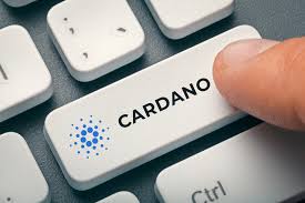Cardano coin news‏ @coincardano 29 апр. Altcoins News Bitcoin News Today Blockchainreporter