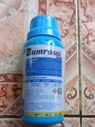 Bumrosai 555SE