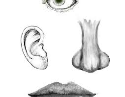 Face Exercise Projects :: Photos, videos, logos, illustrations and branding  :: Behance