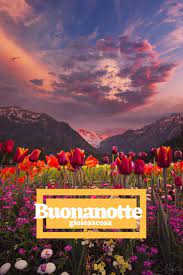 Buonanotte Con Uno Sfondo Di Fiori E Montagne Dai Colori Rassicuranti Effetto Camomilla Gioiosacosa Buonanotte Buongiorno Buona Notte