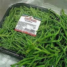 Image result for Salicornia pachystachya