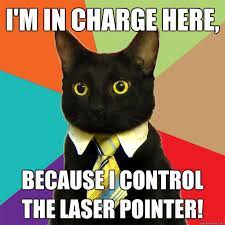 I M In Charge Here Cat Meme Cat Planet Cat Planet
