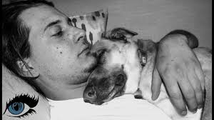 The Premeditated Vision- Photography & Cinematography by Jared Eckert