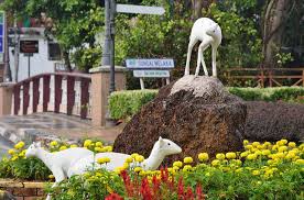 Melaka botanical garden was first developed on june 1, 2006. Mouse Deer Sculpture Melaka