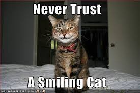 Funny Cat Pictures With Captions Funny Photos Of Cats Cute Cats Pictures Funny Cat Caption Pictures Funny Cat Captions Cat Quotes Funny Smiling Cat