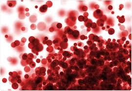 Red blood cell animal definition. Diffusion And Red Blood Cells