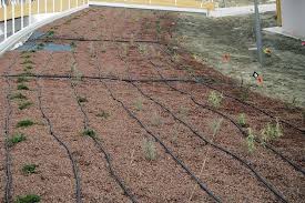 Il sistema consente di bagnare solo porzioni circolari di terreno attorno al fusto di piante arboree. Impianto Di Irrigazione A Goccia Impianto Irrigazione Irrigazione A Goccia