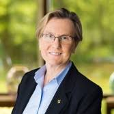 Law Office in Rochester, NY