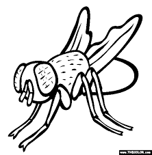 For boys and girls, kids and adults, teenagers and toddlers, preschoolers and older kids at school. House Fly Coloring Page Free House Fly Online Coloring In 2021 Animal Coloring Pages Owl Coloring Pages Bat Coloring Pages