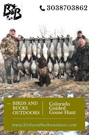 Colorado Guided Goose Hunt Experience Colorado Guided Goose Hunt At Its Finest With Birds And Bucks Outdoors Gui Goose Hunting Hunting Guide Waterfowl Hunting