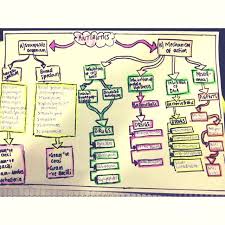 Antibiotic Flow Chart For All The Nurses Out There