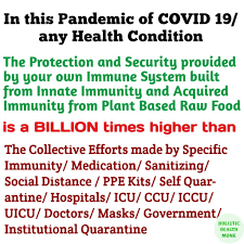 The Only Mantra And Scope To Lead A Healthy Life Is Giving Optimum Priority To Your Own Immune Sys In 2020 Health Quotes Healthy Life Fitness Facts